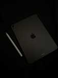 Apple iPad Air (256гб)