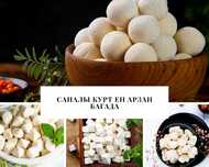 Құрт курт оптом, разные формы