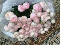 Кустовые розы, продам 12.04