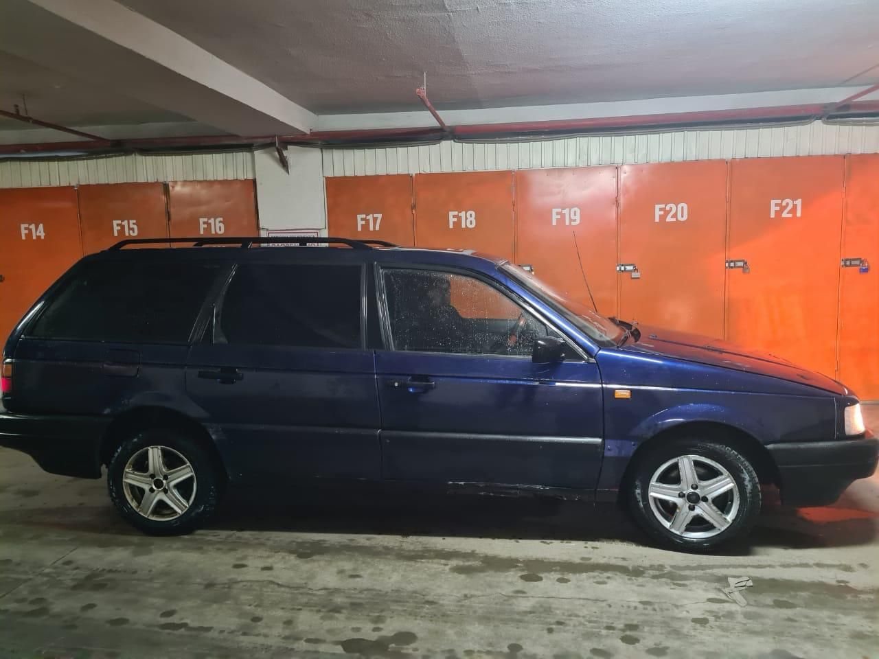 Продам живого пассата