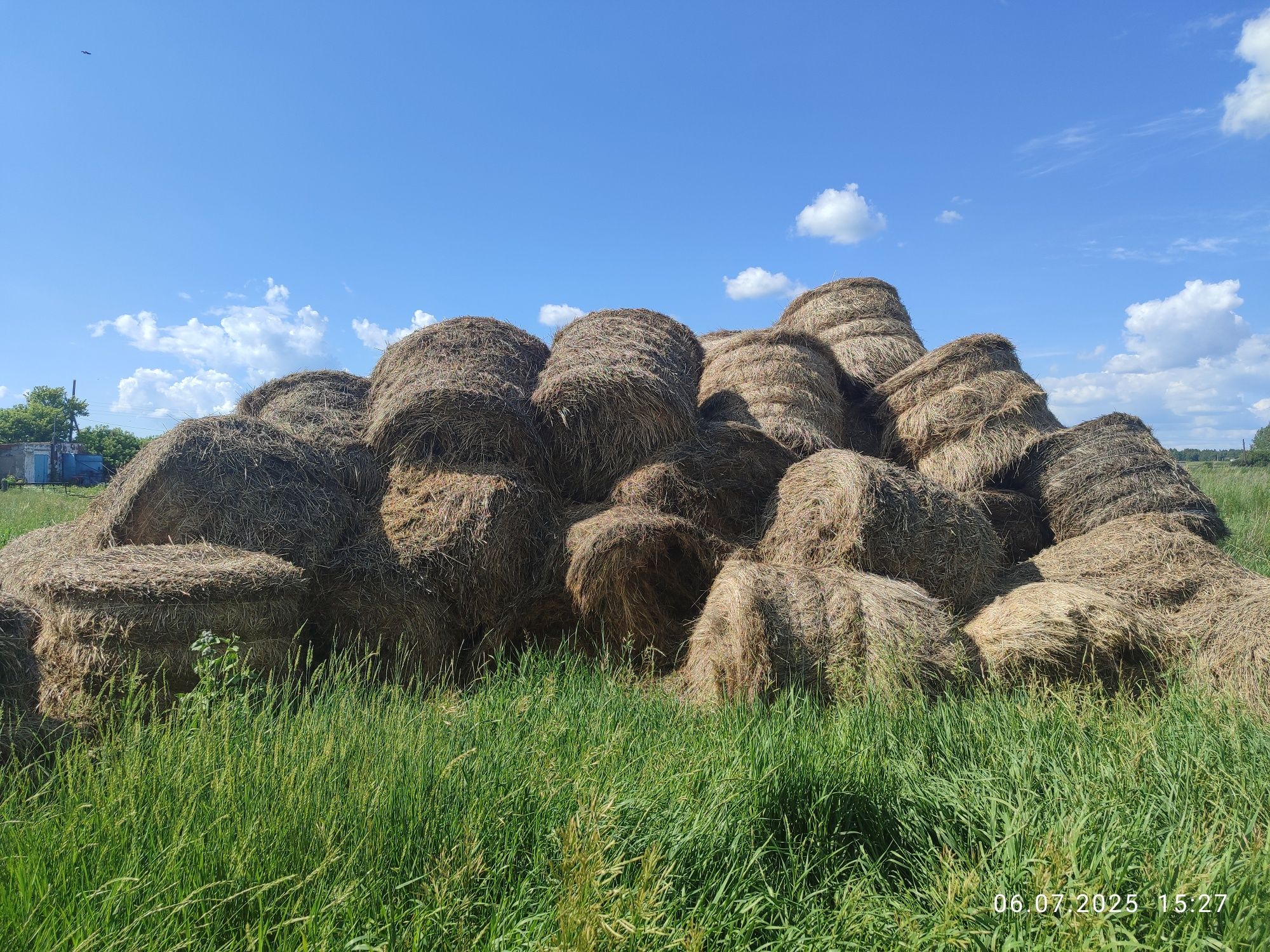 Продам тюки сена прошлогоднего