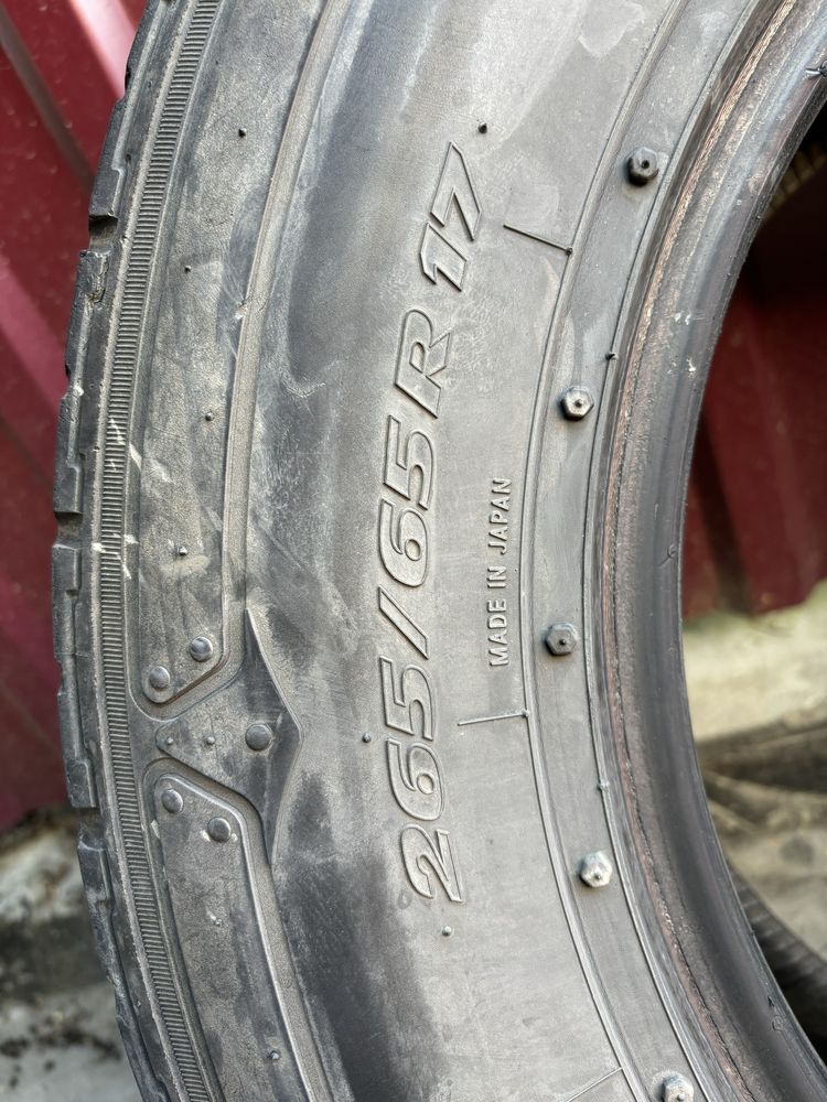 Nito Dura Grappler 17 r