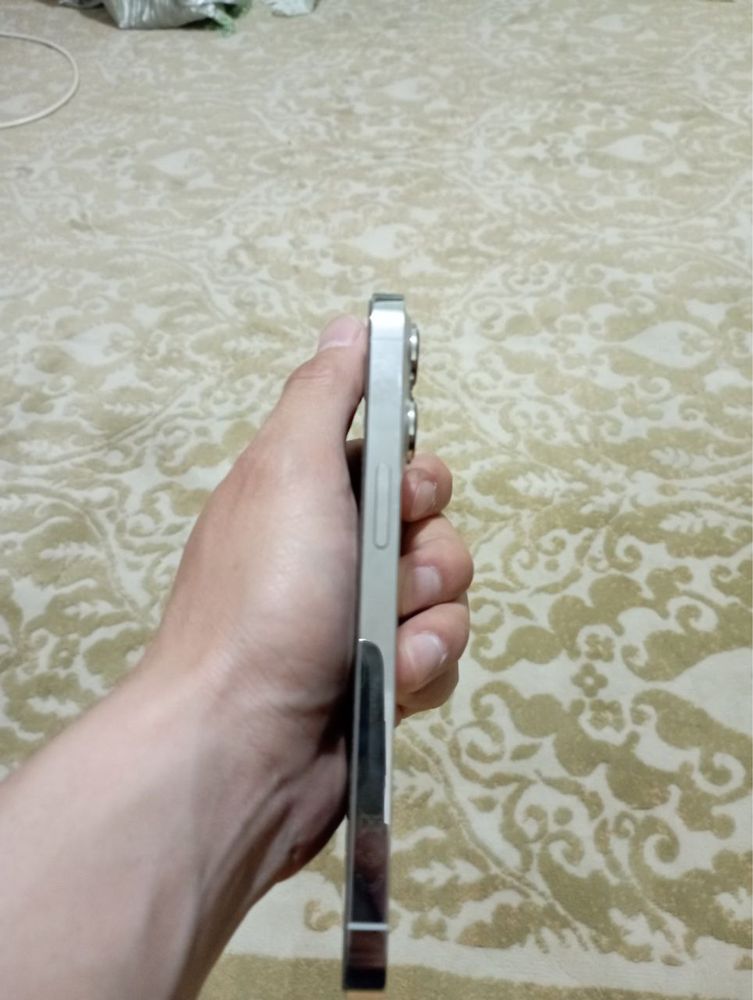 iPhone 13 Pro Silver
