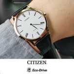 Citizen AR1113-12B