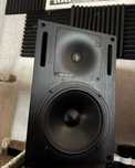 Студийные мониторы Genelec 1031A