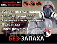 Уничтожение клопы дезинфекция от тараканов кандала