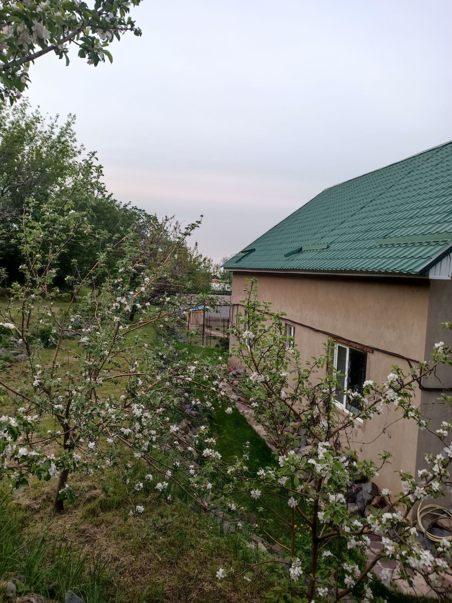 Продам дом у подножия гор в поселке Кайнар