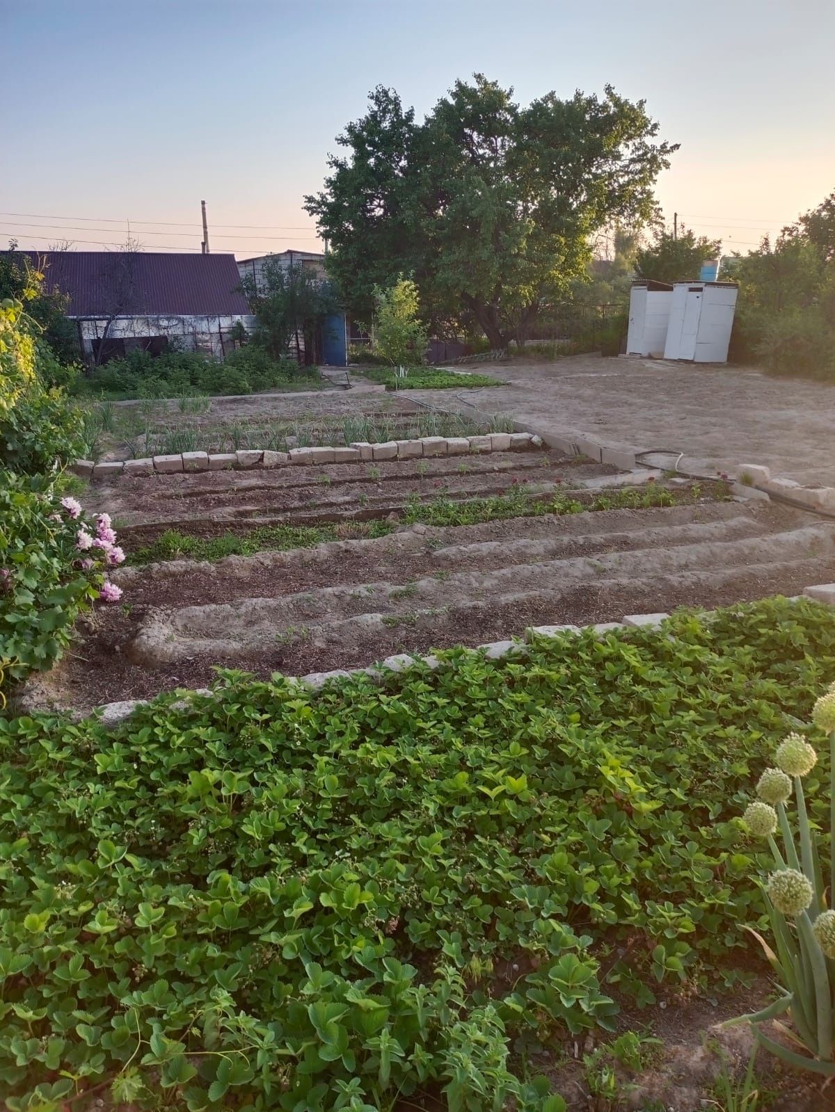 Продам дачу в городе Конаев ( Капчагай)