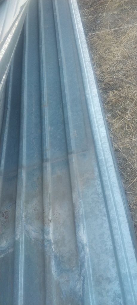 Провнастил  лист