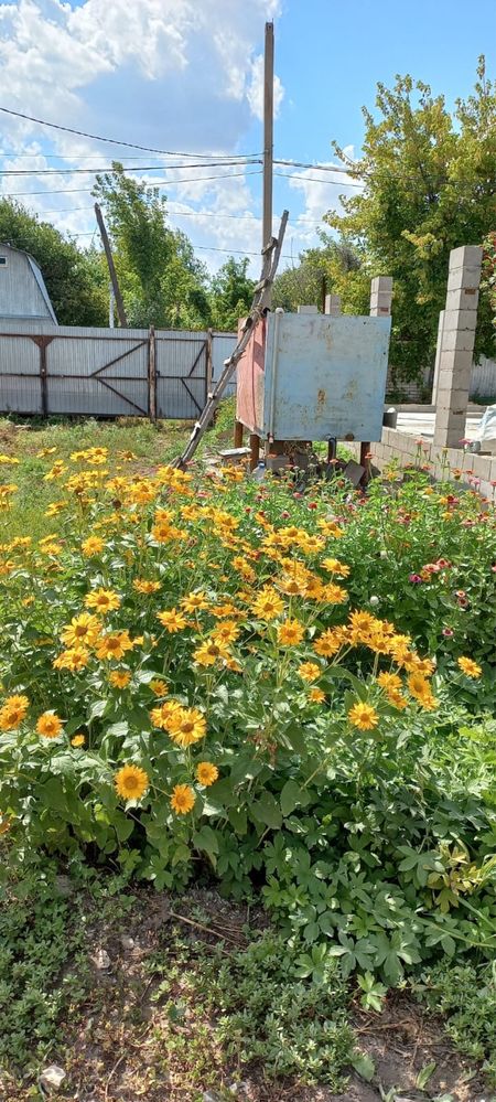 Продам дачу 13.7 соток