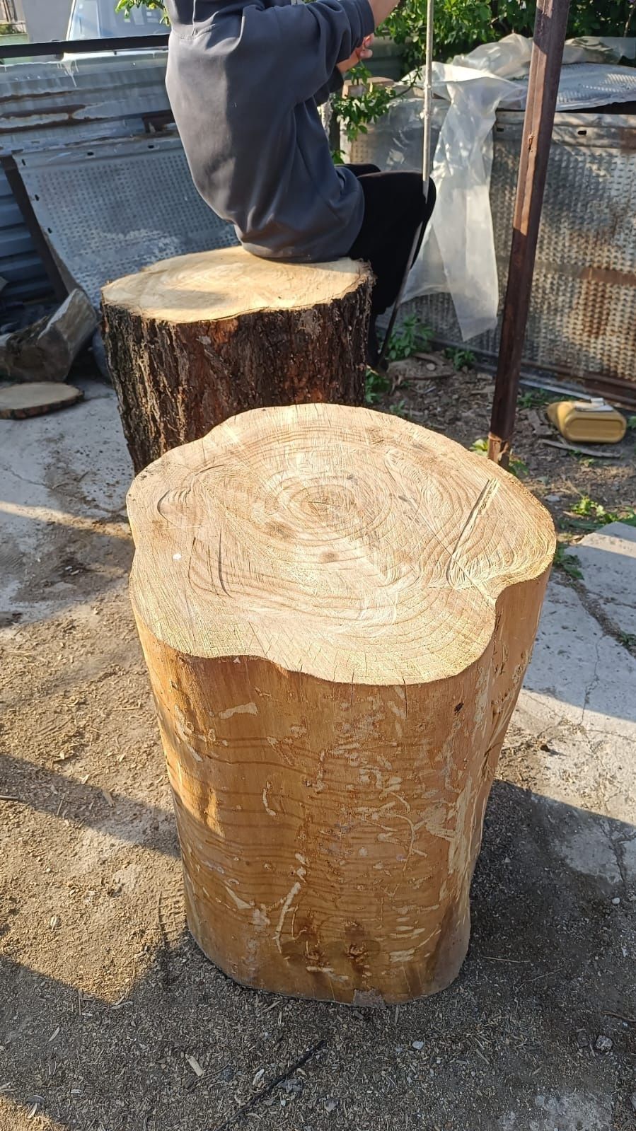 Продам рубочный пенек( карагач)