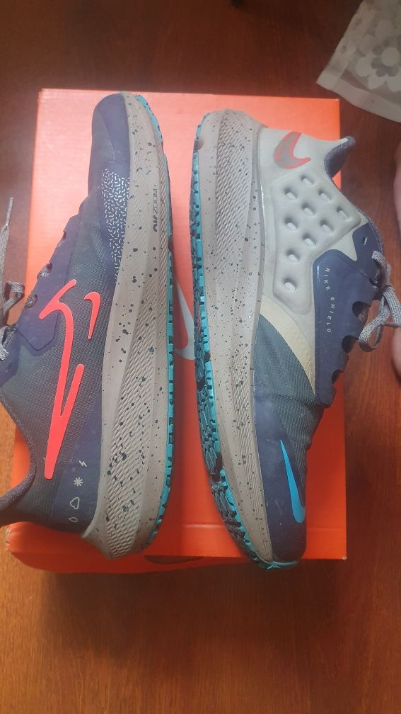 Кроссовки Nike  pegasus 39 shield