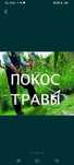 Покос травы шөп шабамын