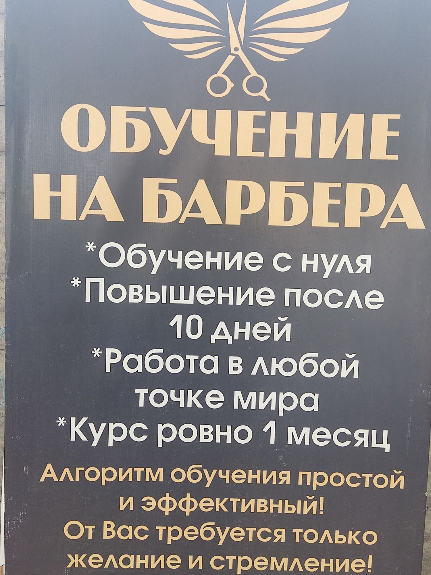 ОБУЧЕНИЕ НА БАРБЕРА

Обучение с нуля

Повышение после 10 дней

Работа