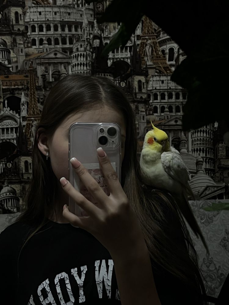 Птица попугай корелла