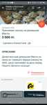 Манты под заказ,