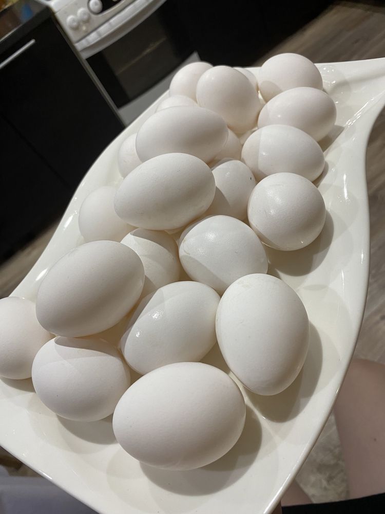 Продам домашние яйца