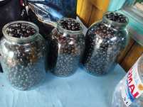 Продам черную и красную смородину ,крупная, сладкая,