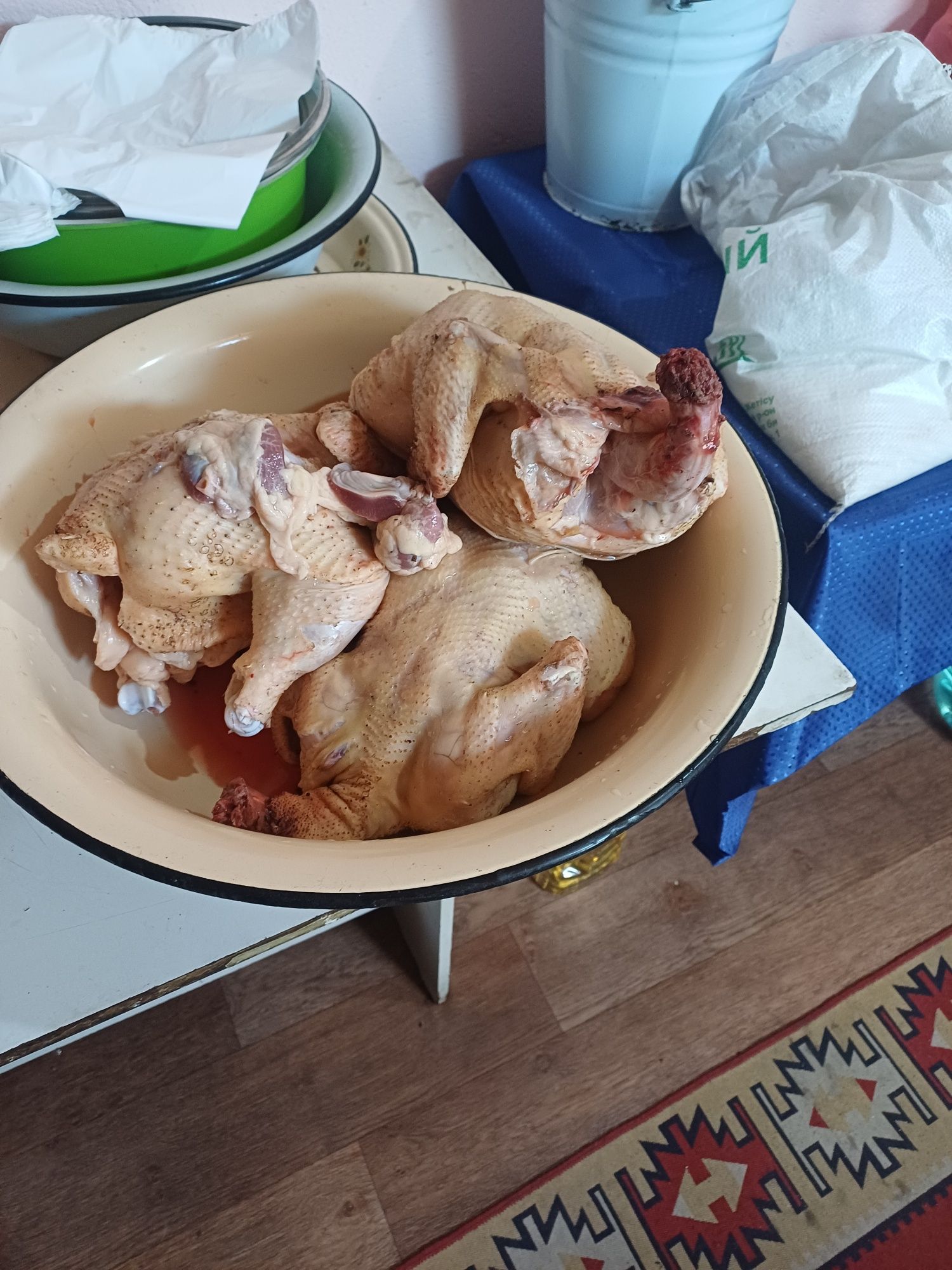 Куры домашние бройлер,летние