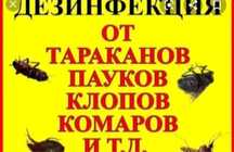 СЭС Дезинфекция ( от клопов и тараканов) гарантия 100% г. Тараз