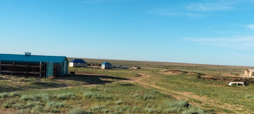 Мал шаруашылығы сатылады