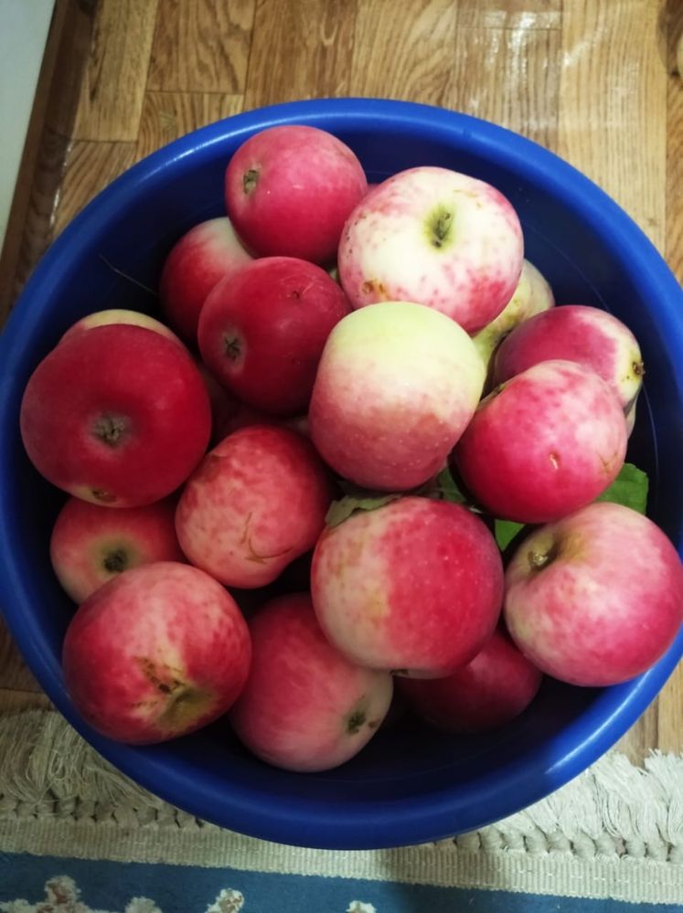 Продам сочные и сладкие яблоки с дачи