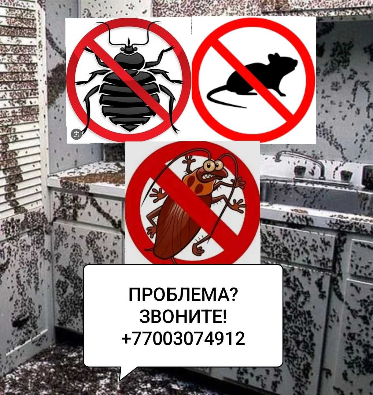 Профессиональная обработка д.е.з.и.н.ф.е.к.ц.и.я клопы тараканы мыши