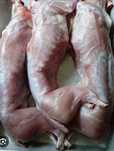 Продам мясо кролика