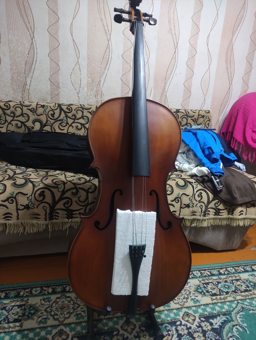 Виолончель 4/4 с чехлом и дополнительной комплектацией