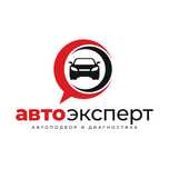 Автоподбор/проверка авто толщиномером/ компьютерная диагностика/ выезд