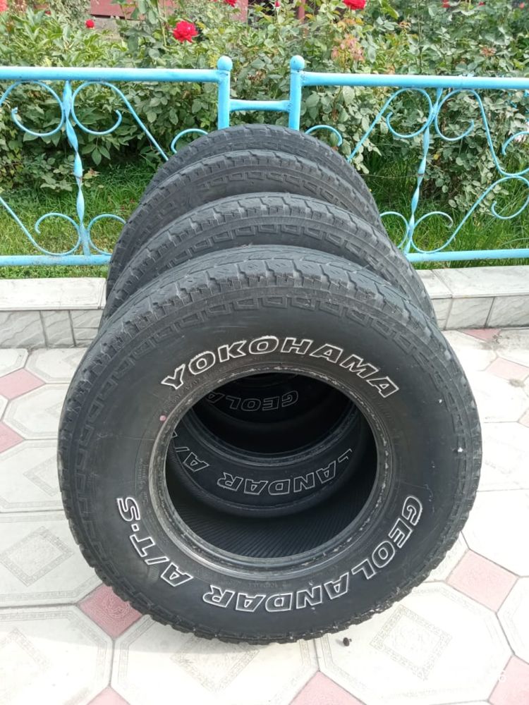 Шины всесезонные