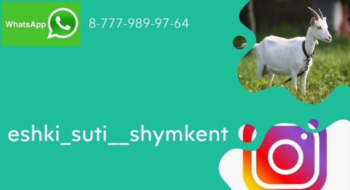 Ешкі сүті козье молоко ешки сути сут