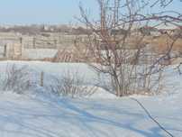 Продам дачу в городе