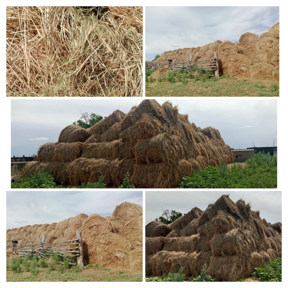 Сено рулон луговой!