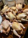 Домашний халялный мяса бройлера