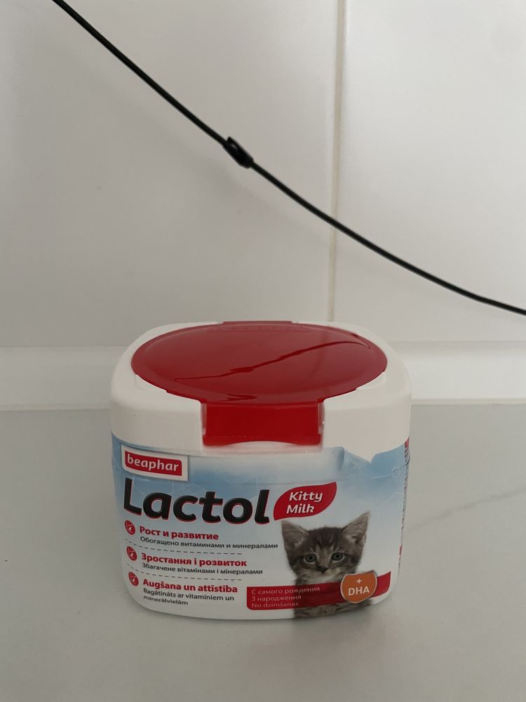 Молоко для котят, порошок молоко для котят, премиум качество
