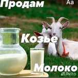 Ешкі сүті, козь молоко