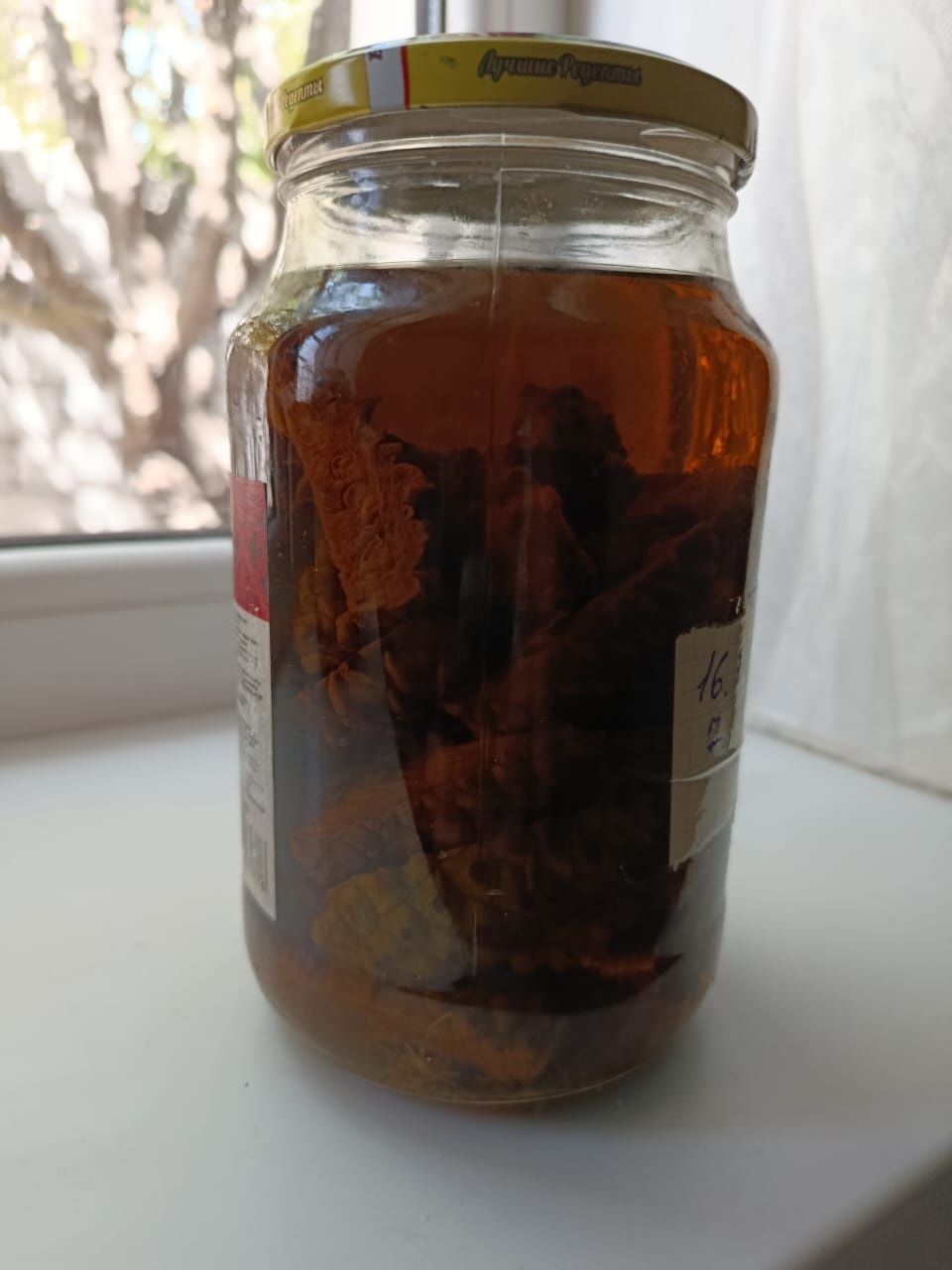 Настойка из сосновый шишек