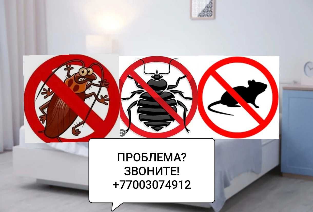Профессиональная отрава д.е.з.и.н.ф.е.к.ц.и.я мыши крысы тараканы