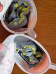 Мир Юрского периода jurassic world динозавры kinder joy