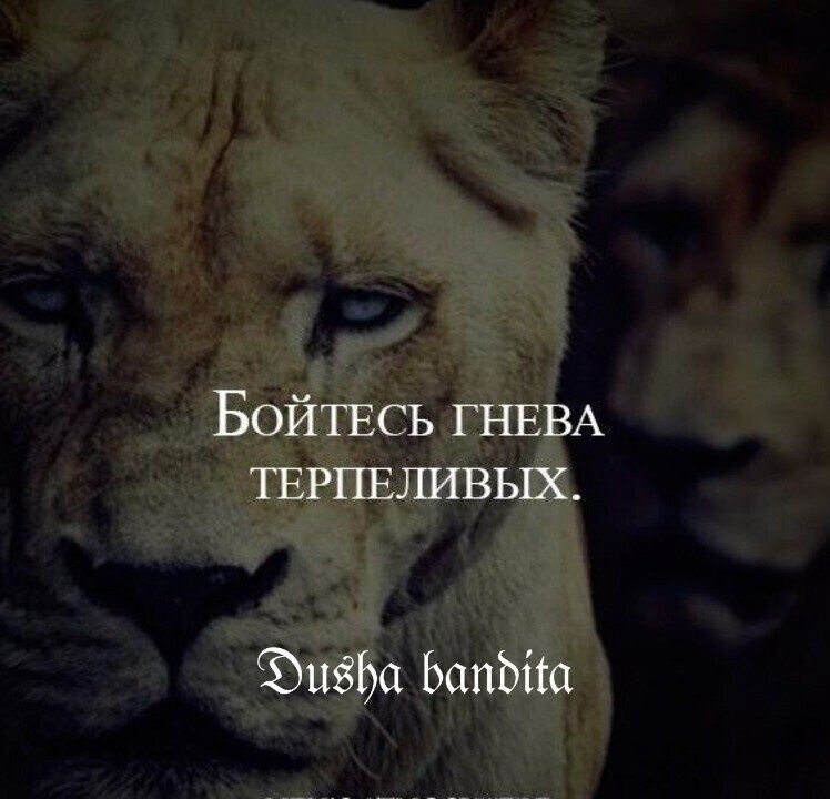 Ищете грузчика, позвоните нам
