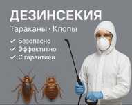 Уничтожение Тараканов Клопов Қандала Дезинфекция Дезинсекция