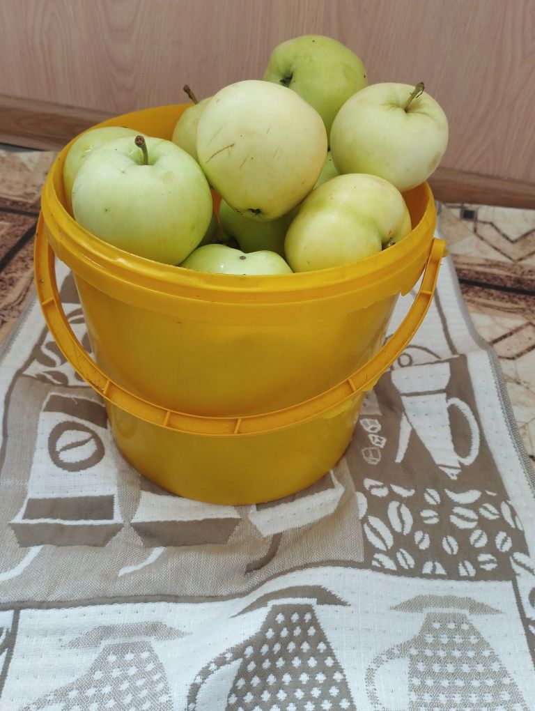 Продам яблоки Белый налив