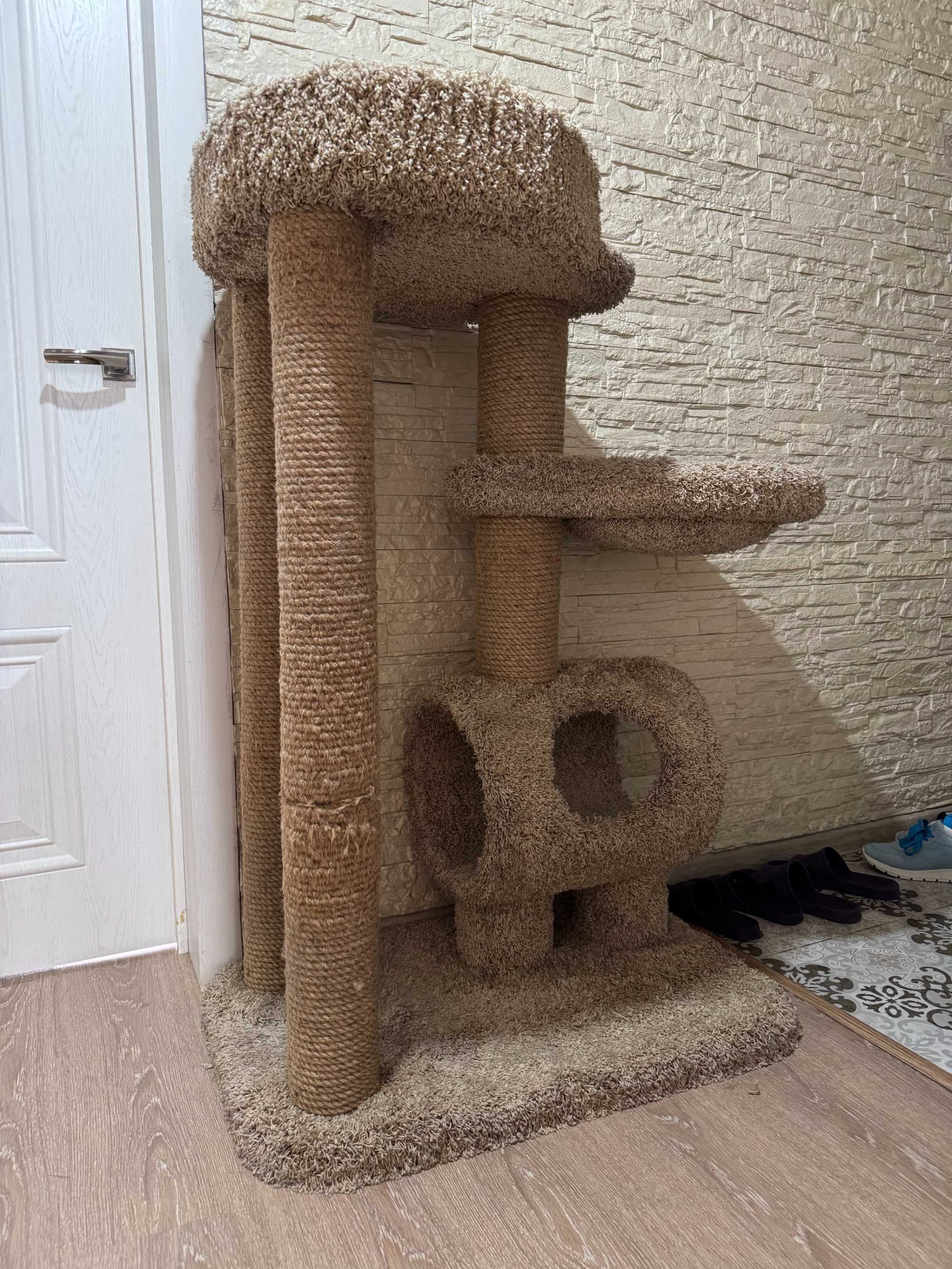 Кошачий комплекс
