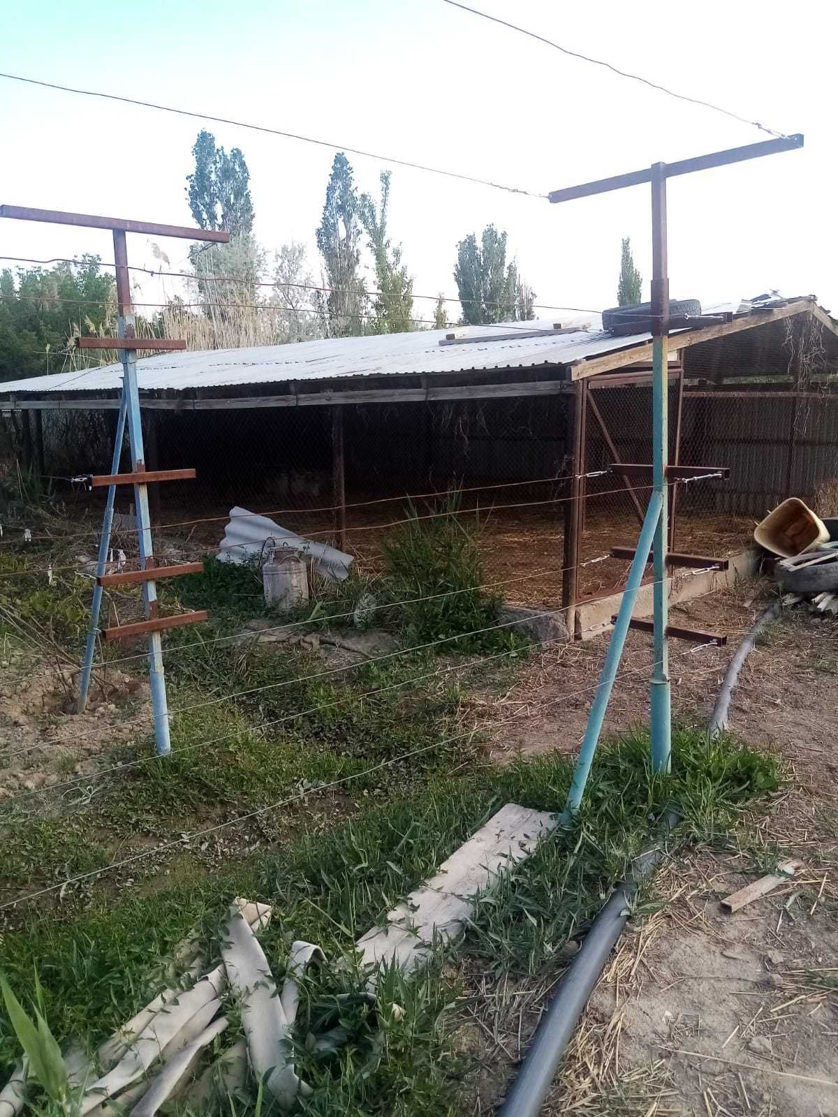 дача с хозяйством