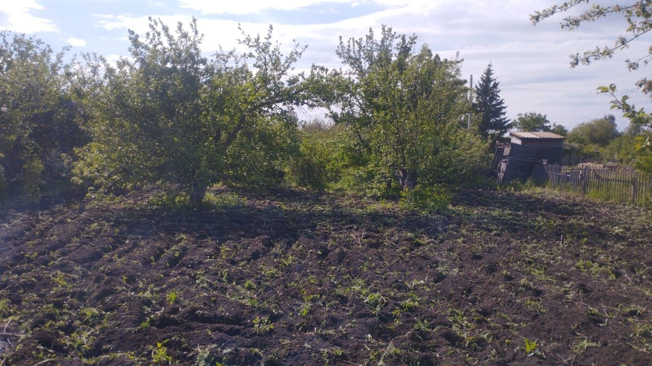 Дача по Мамлютской трассе