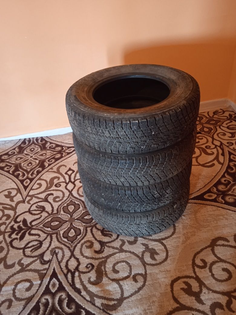 Зимный балон сатылады Сарыагаш та