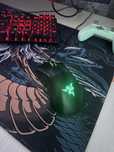 Мышь Razer DeathAdder Essential не работает колесо