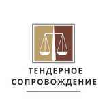 Тендерное сопровождение
