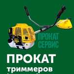 Триммер бензиновый